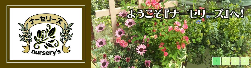 大型総合園芸店ナーセリーズのホームページ