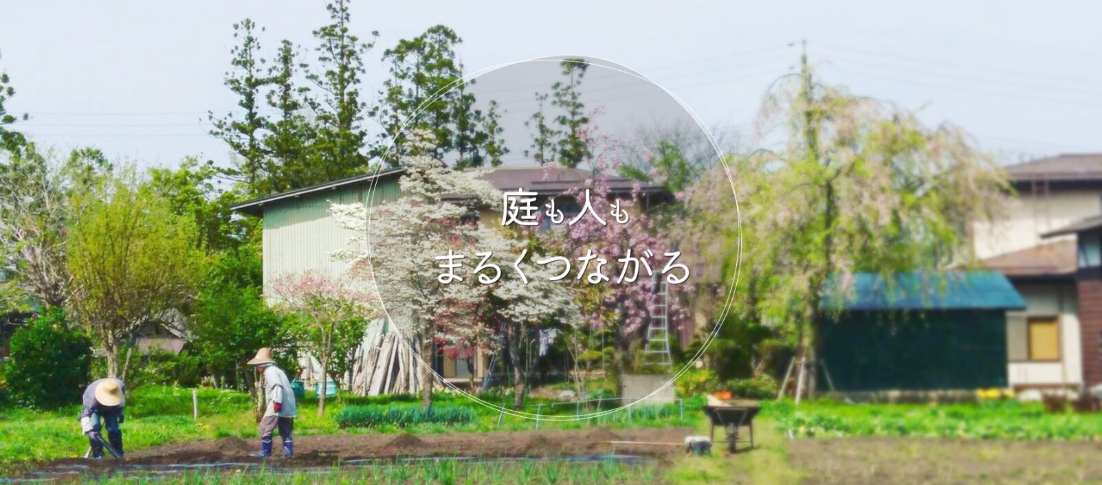 まんまるのホームページ