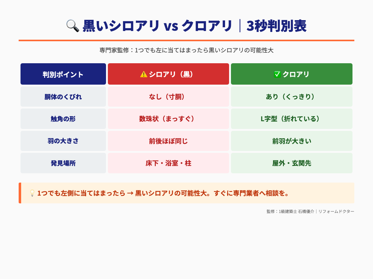 黒いシロアリとクロアリ 3秒判別表