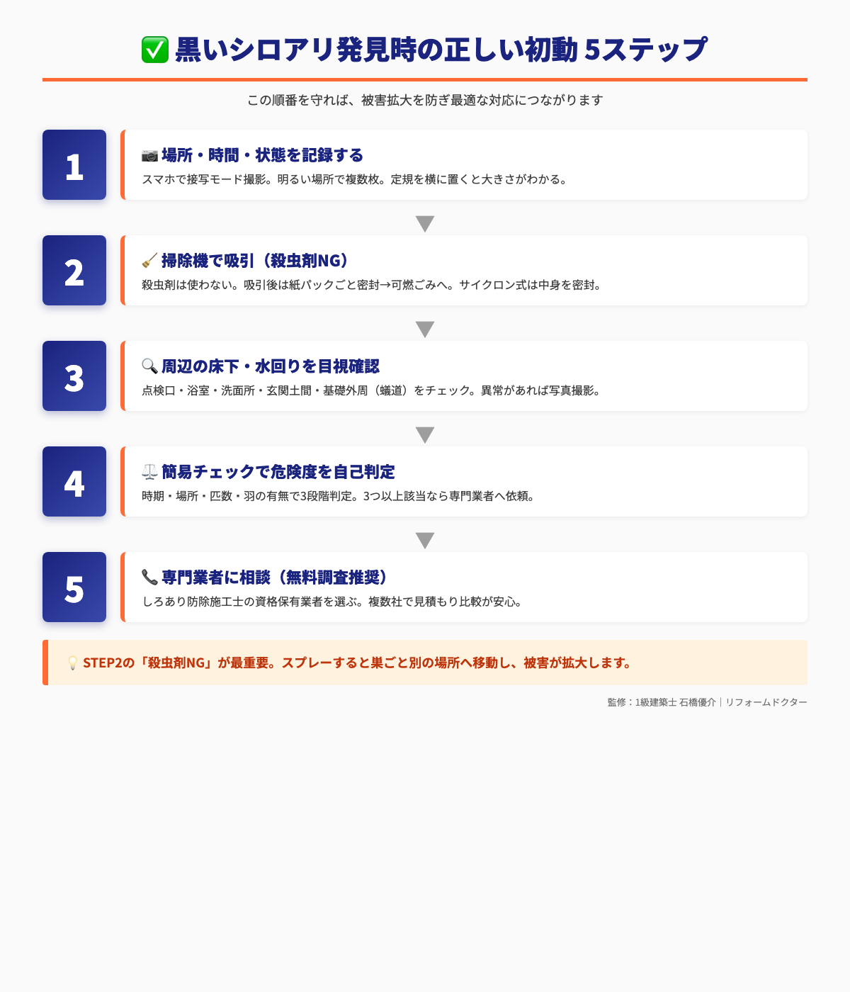 黒いシロアリ発見時の正しい初動5ステップ