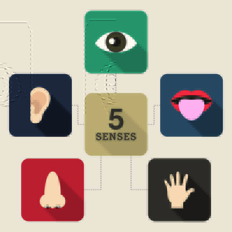 shutterstock_206154178