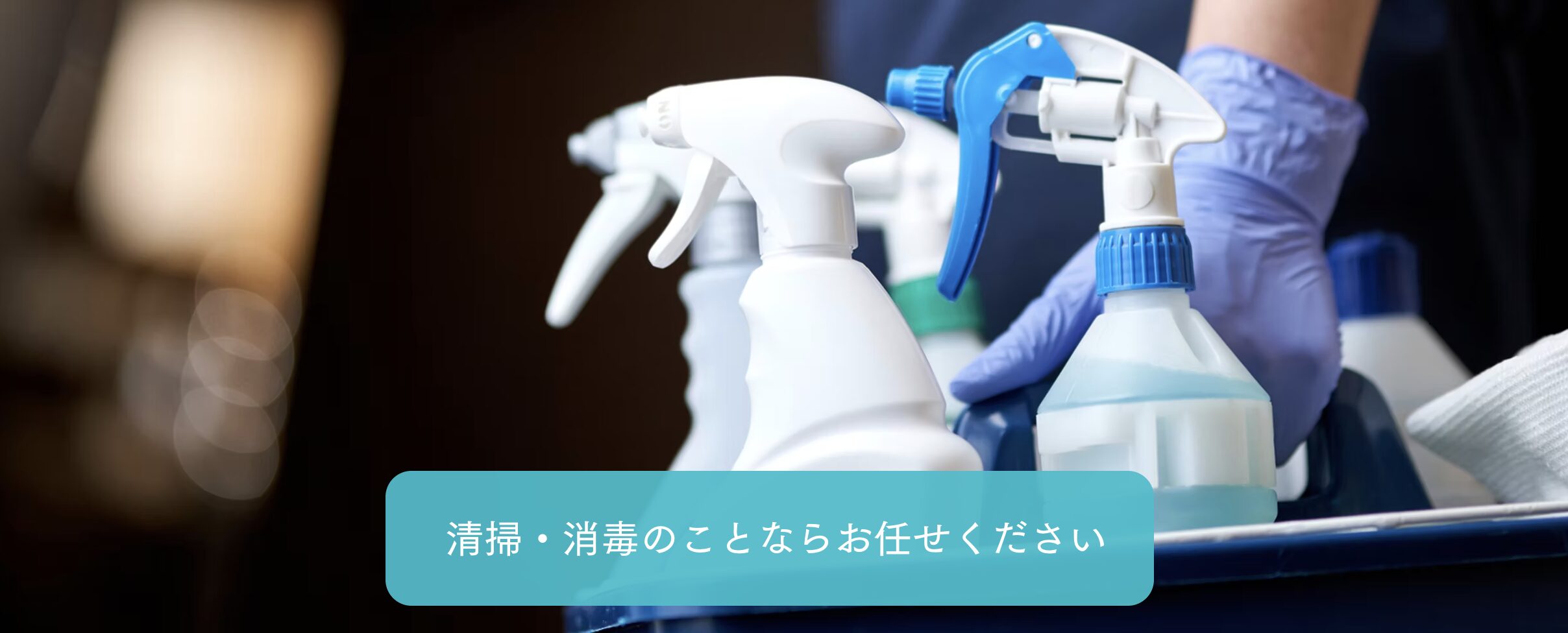 株式会社エクセルズのバナー画像
