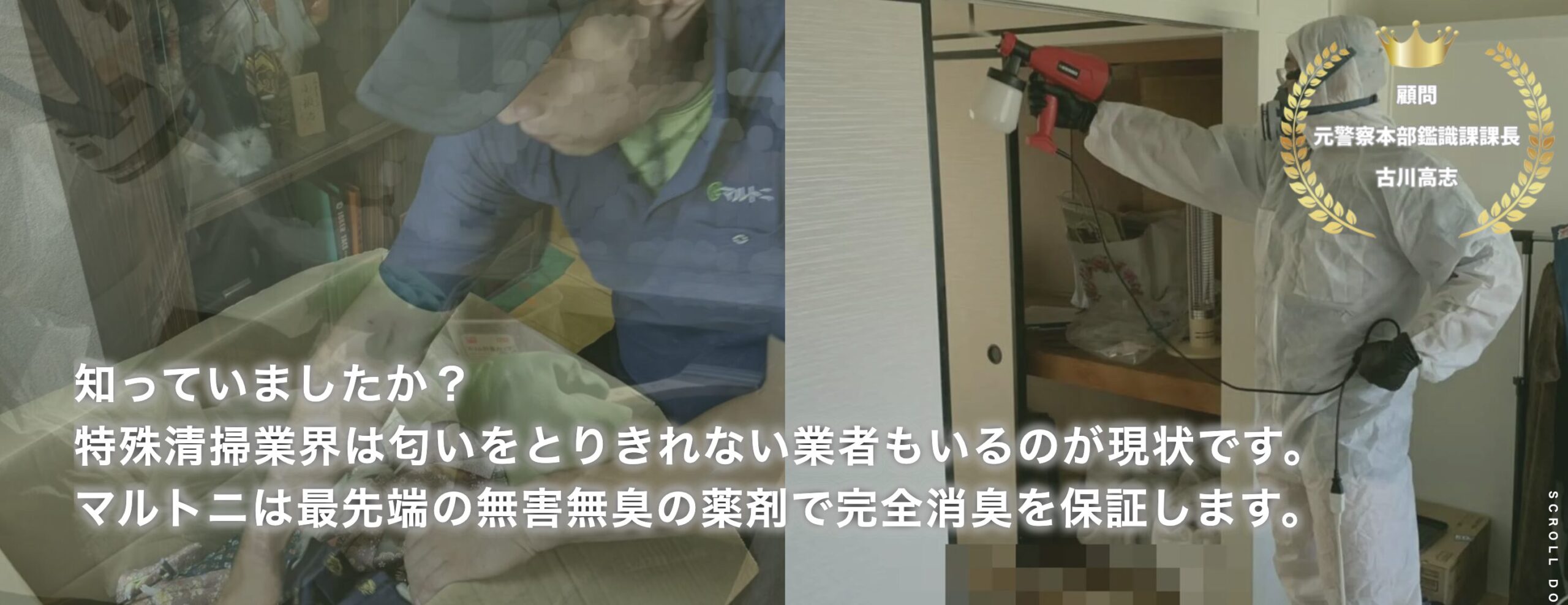  マルトニのバナー画像