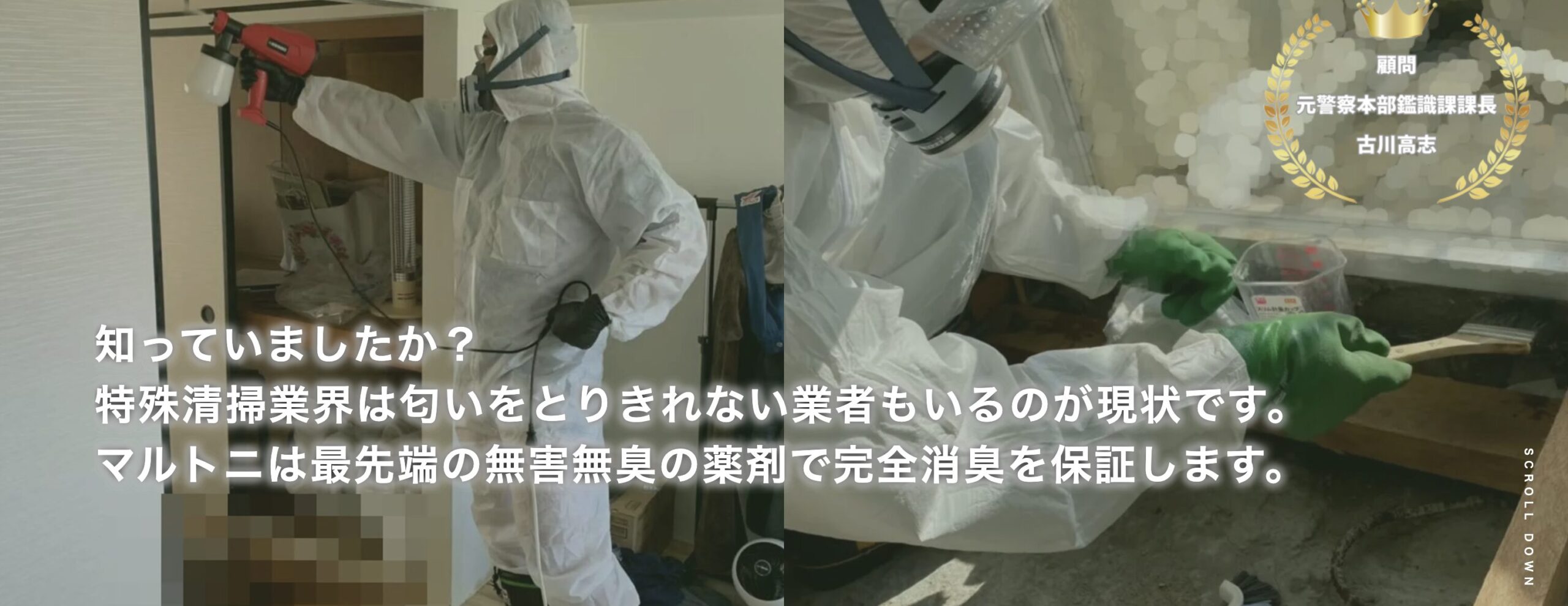 マルトニのバナー画像