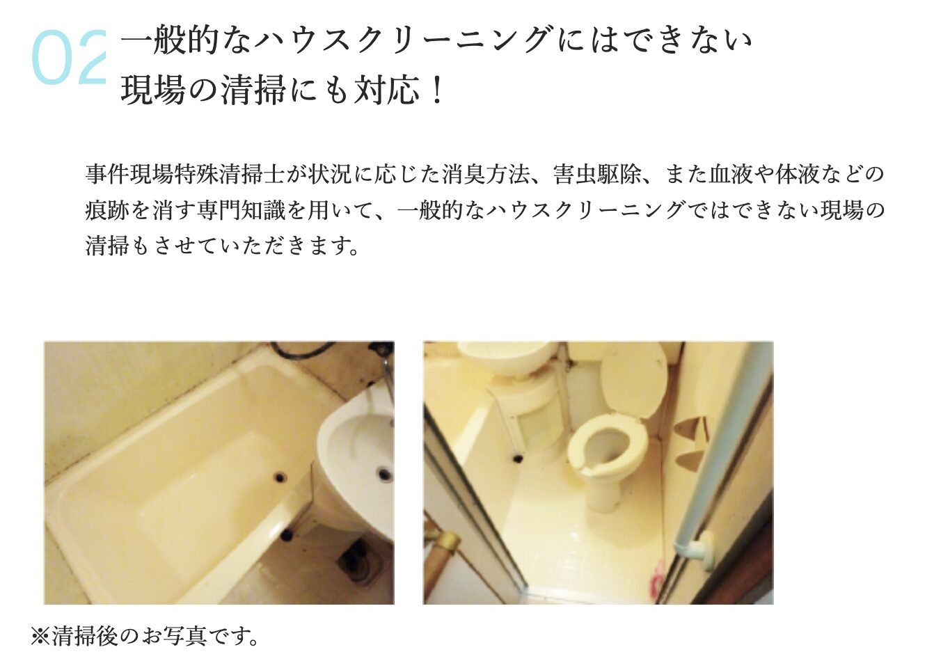 株式会社アクアティックドリームスのバナー画像