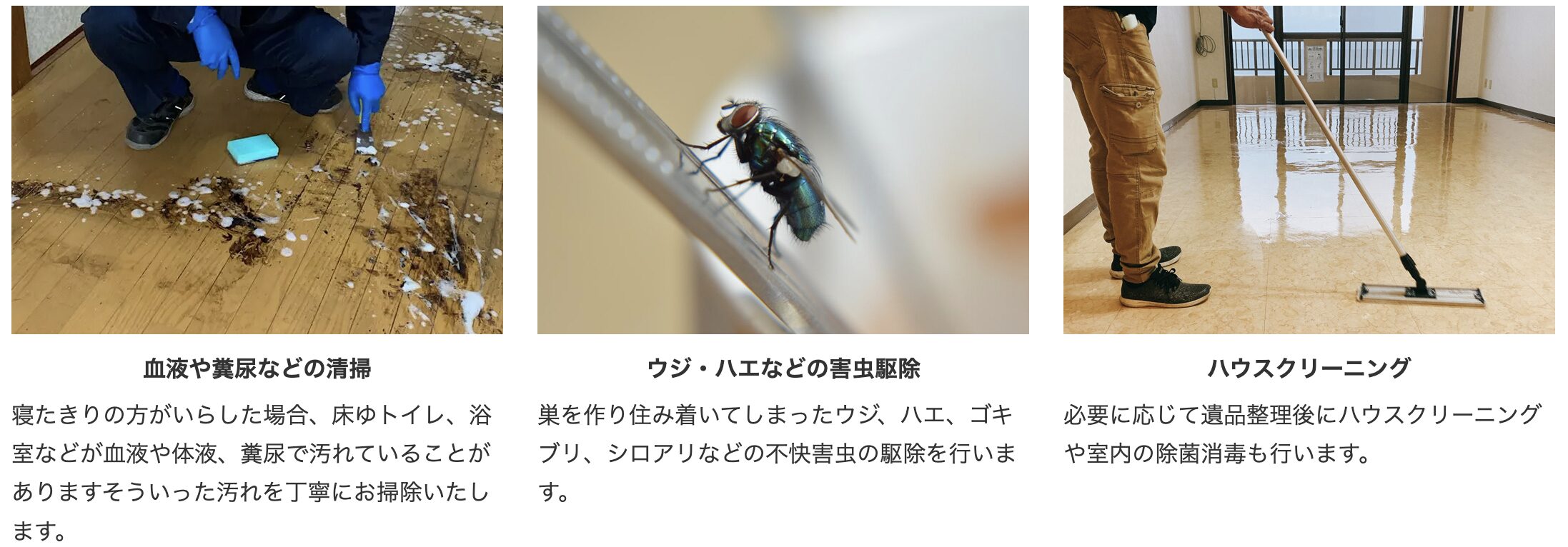 遺品整理の紫水(しすい)のバナー画像