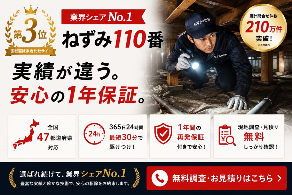 ねずみ110番のネズミ駆除対応イメージ