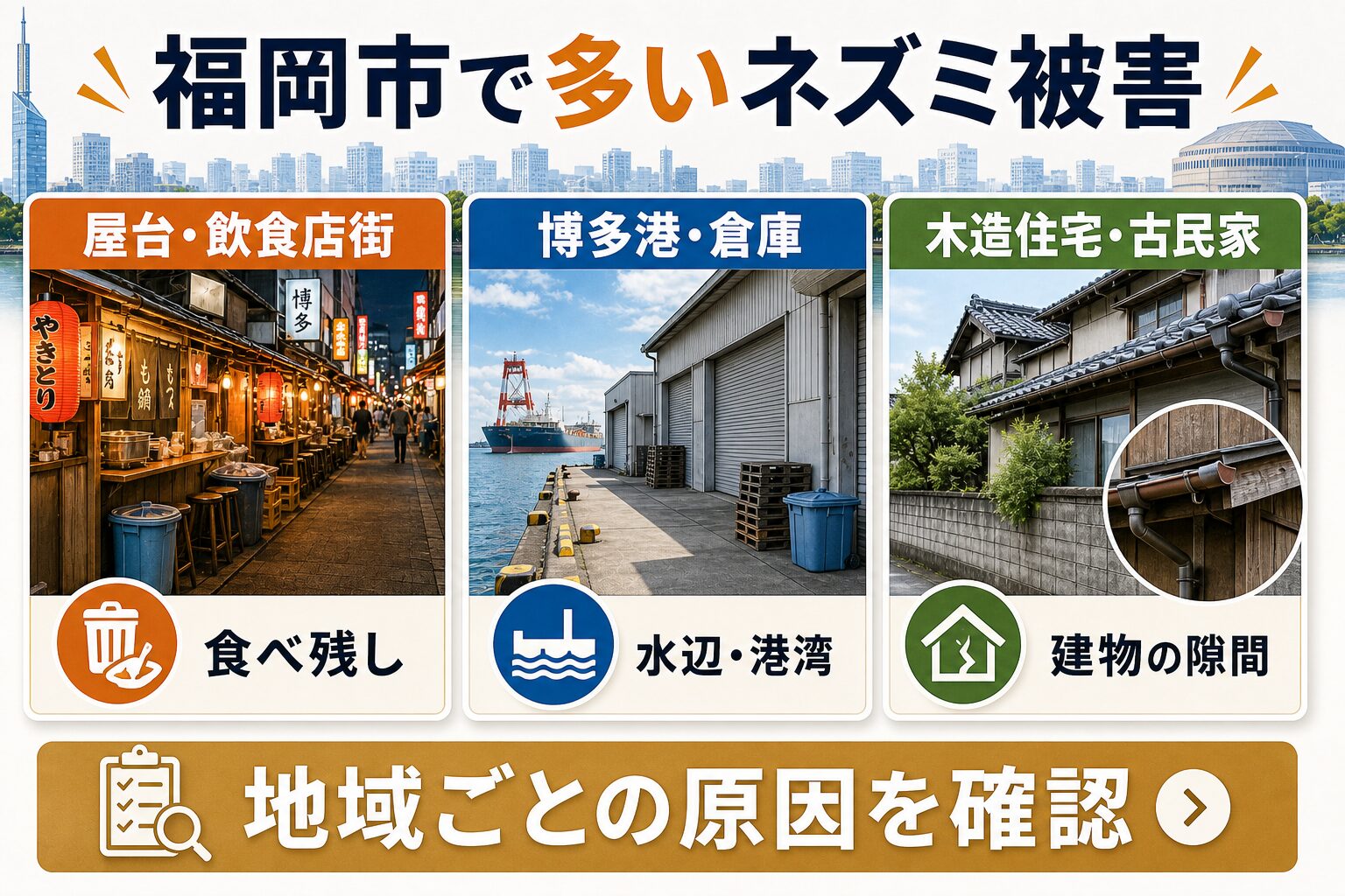 福岡市でネズミ被害が多い屋台・博多港・木造住宅の原因図解