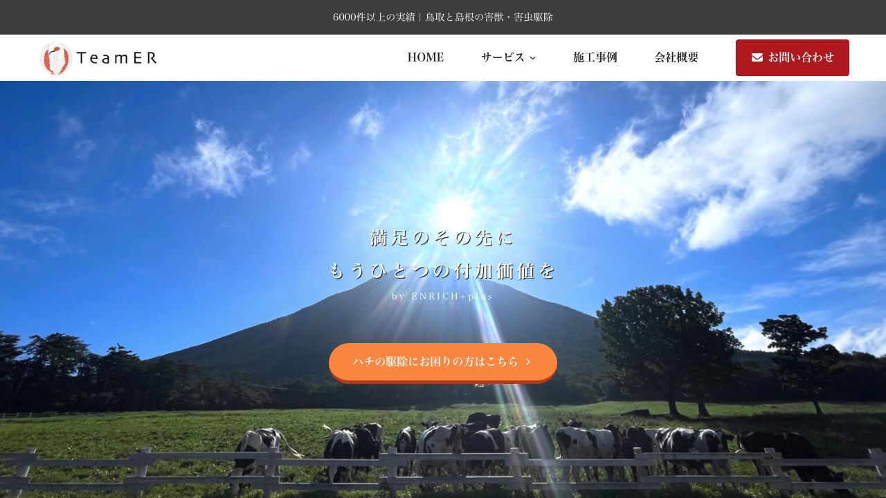 Team ERの公式サイト