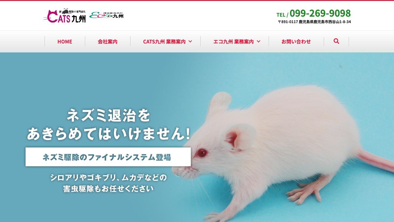 キャッツ九州の公式サイト