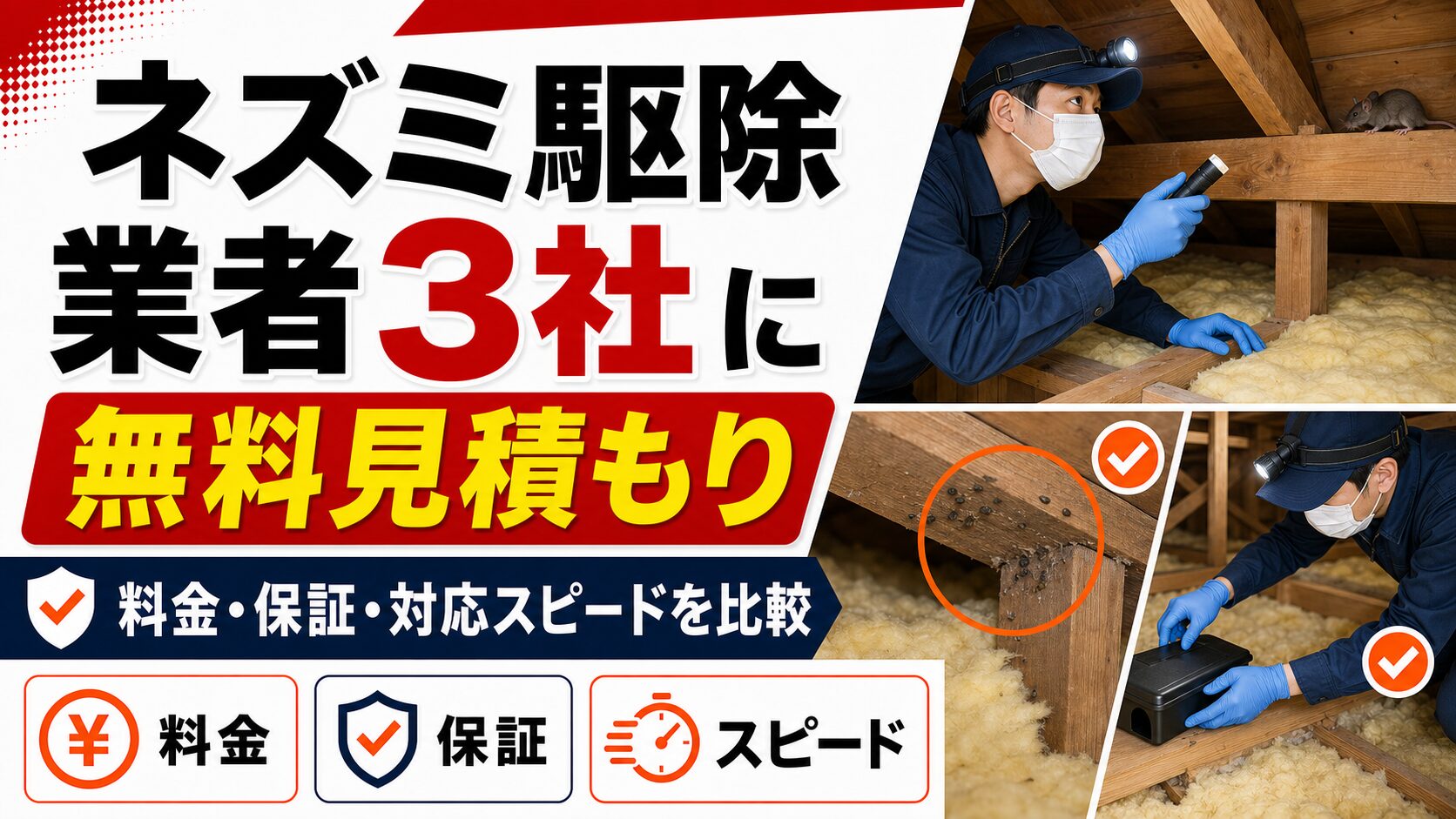 ネズミ駆除業者3社に無料見積もり。料金・保証・対応スピードを比較