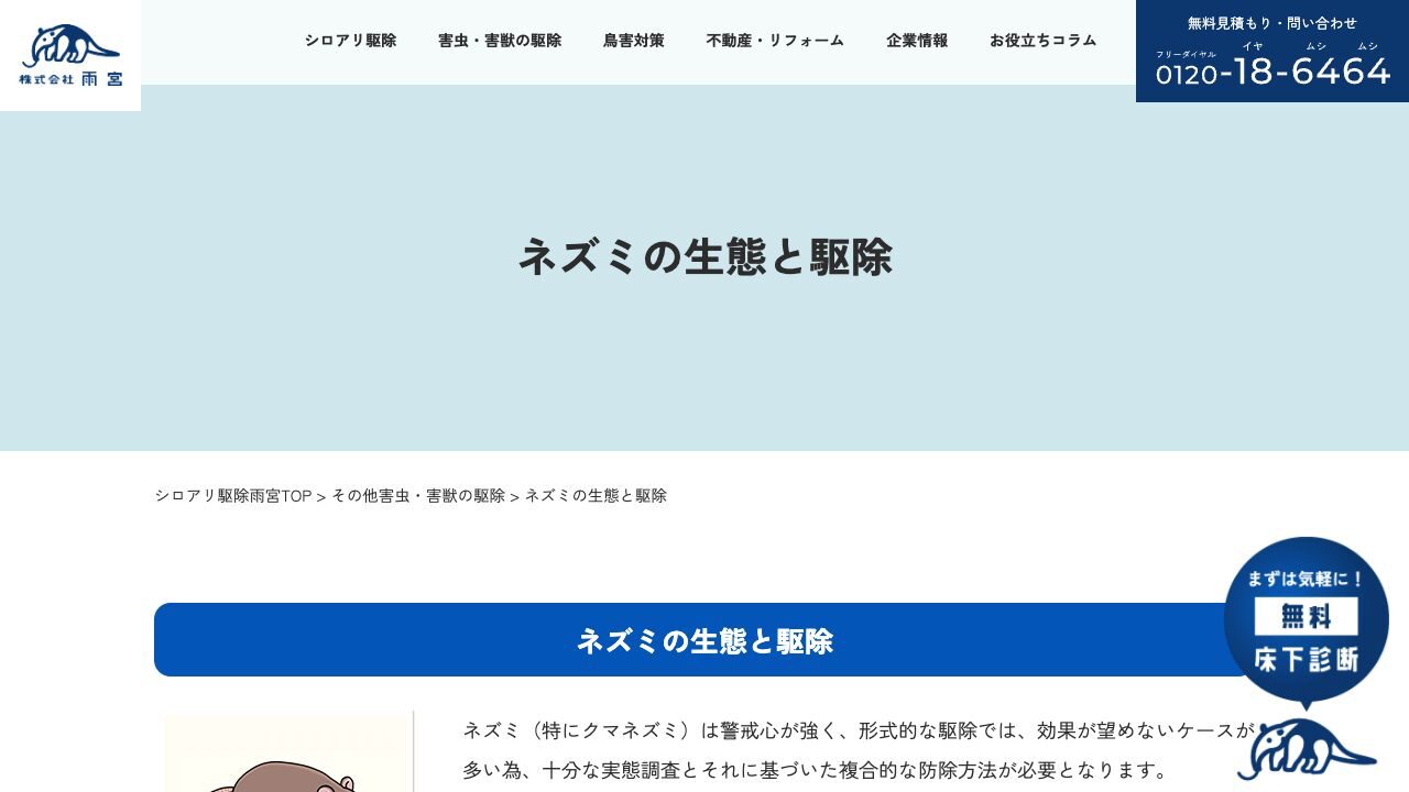 雨宮の公式サイト