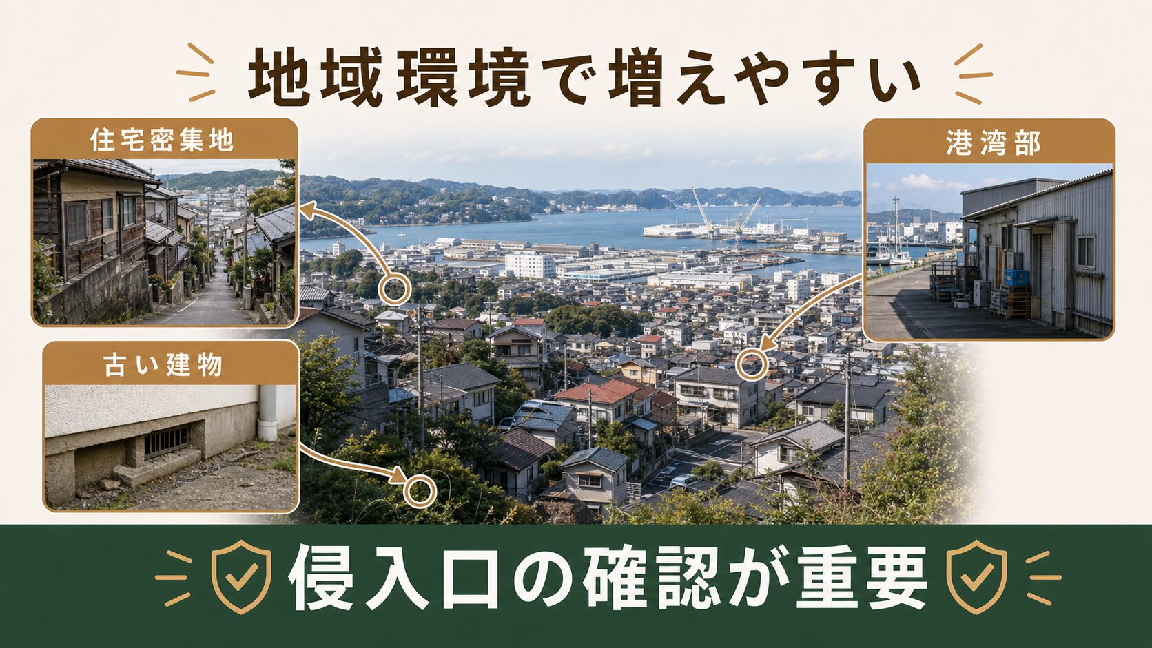 横須賀市でネズミ被害が増えやすい地域環境を解説する図解