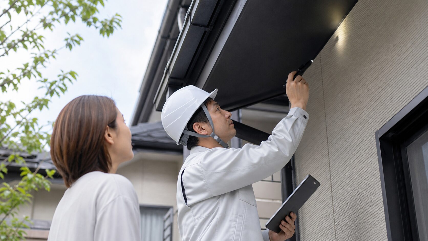 現地調査でコウモリの種を確認する業者のイメージ