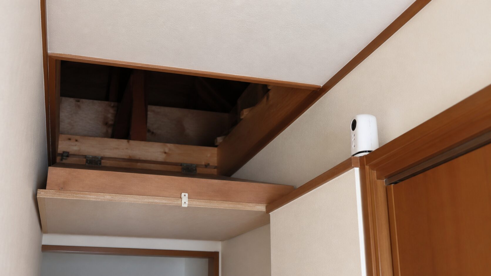 天井裏付近に超音波機器を置くイメージ