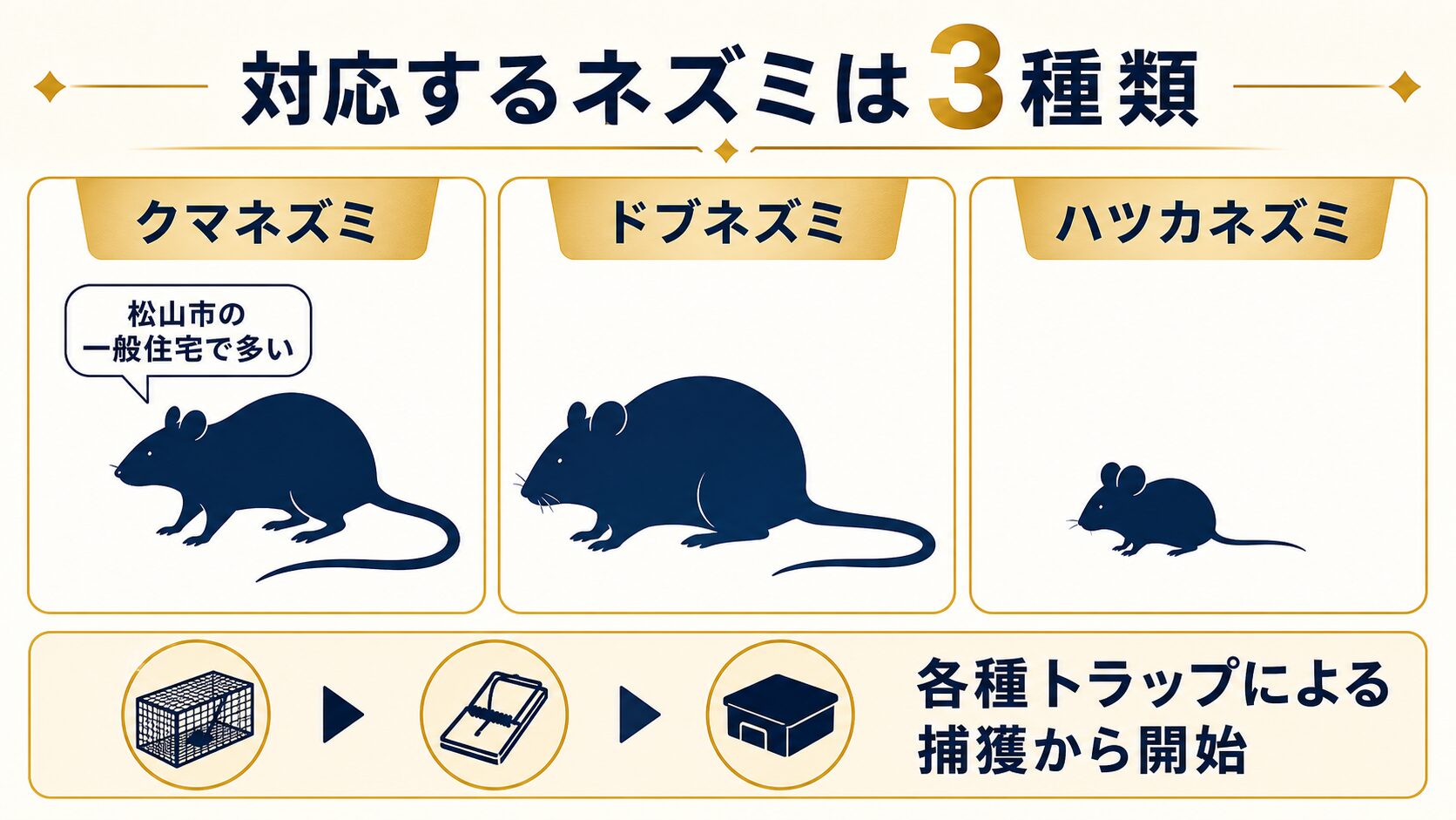 クマネズミ・ドブネズミ・ハツカネズミの3種類のイメージ
