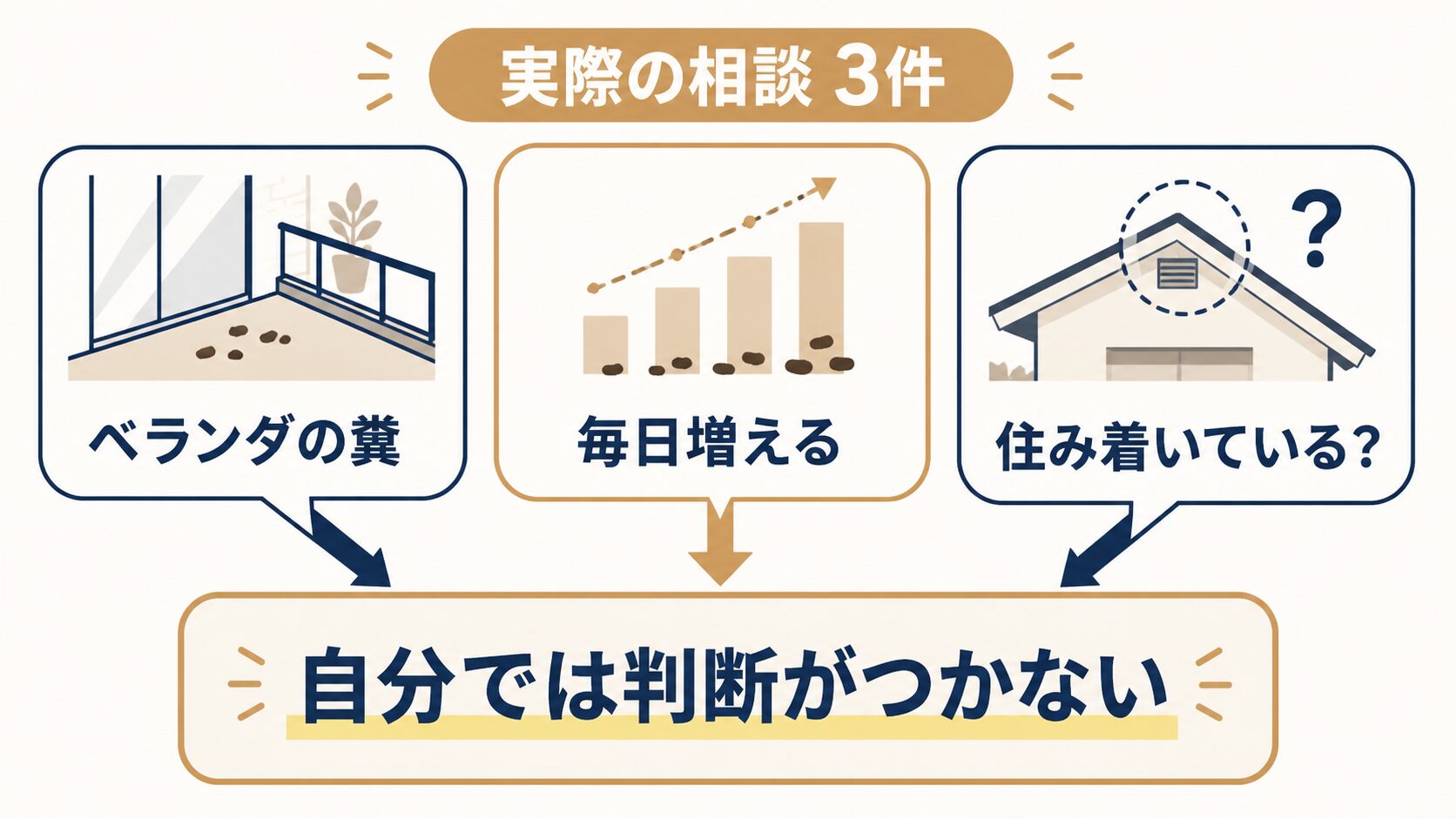 アブラコウモリの糞に関する実際の相談3件と共通する悩み