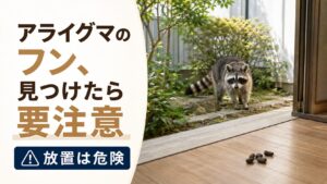 アライグマのフンを庭・ベランダで見つけた際の注意喚起
