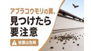 アブラコウモリの糞、見つけたら要注意|見分け方から掃除・相談の判断基準まで