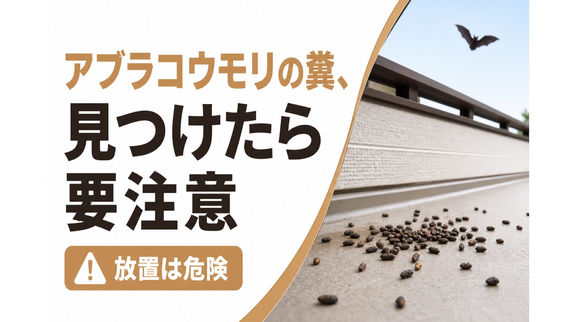 アブラコウモリの糞、見つけたら要注意|見分け方から掃除・相談の判断基準まで