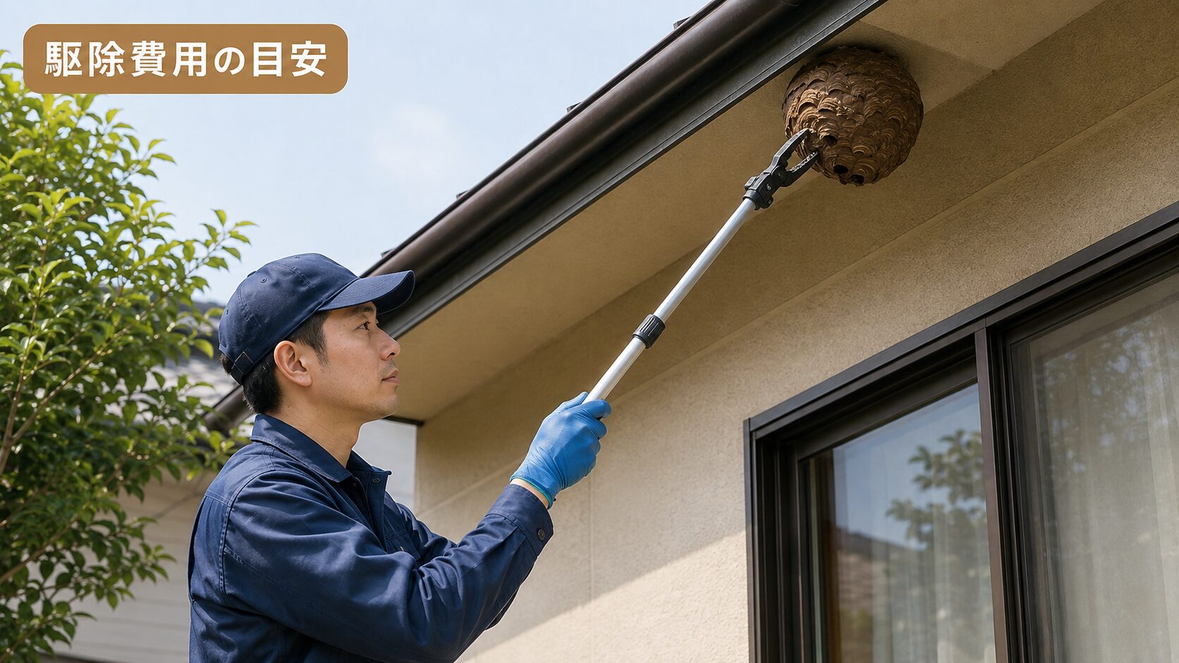 業者が蜂の巣を駆除している様子