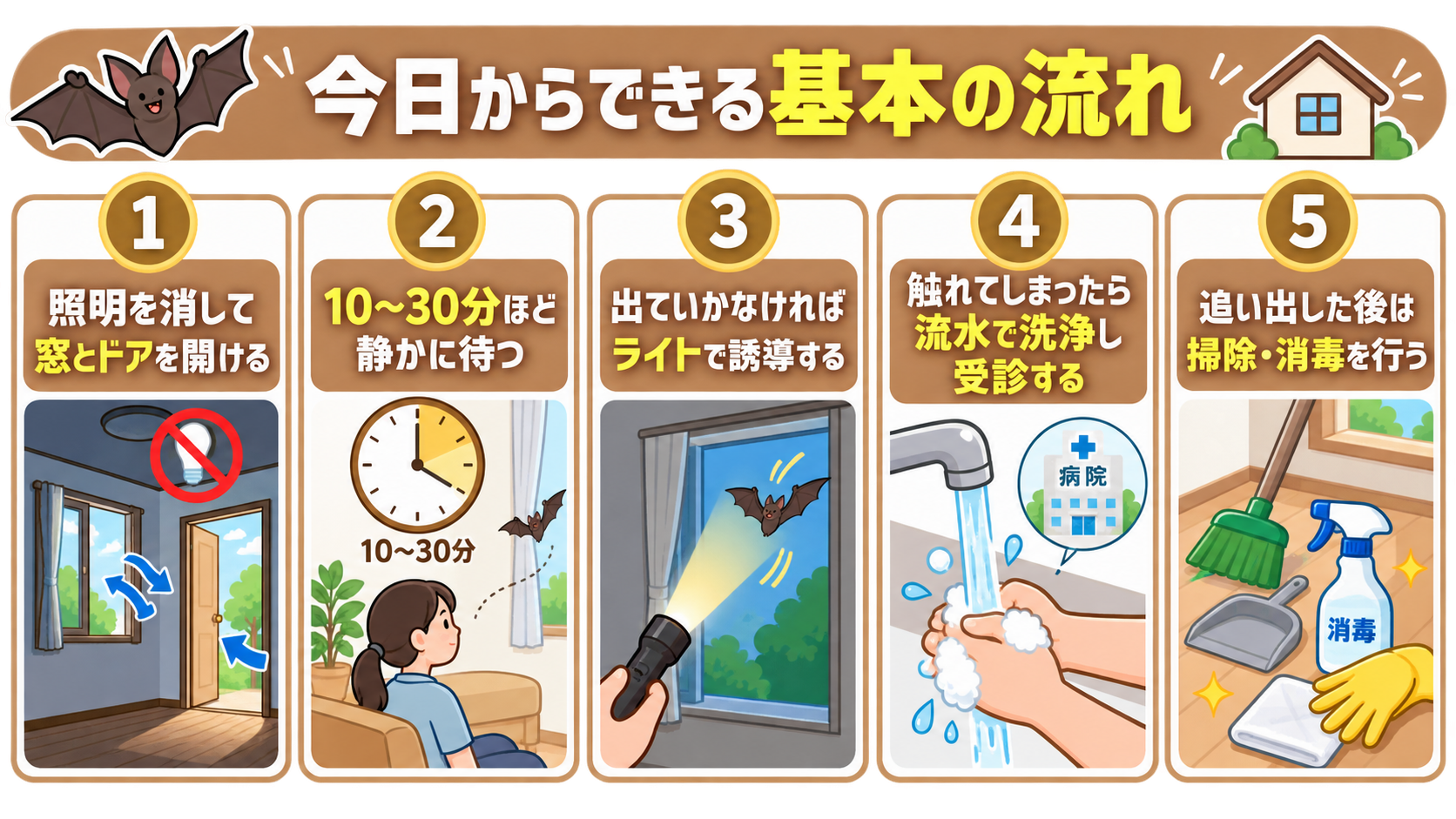 照明を消して窓を開ける・待つ・ライト誘導・流水洗浄・掃除消毒の5ステップまとめ