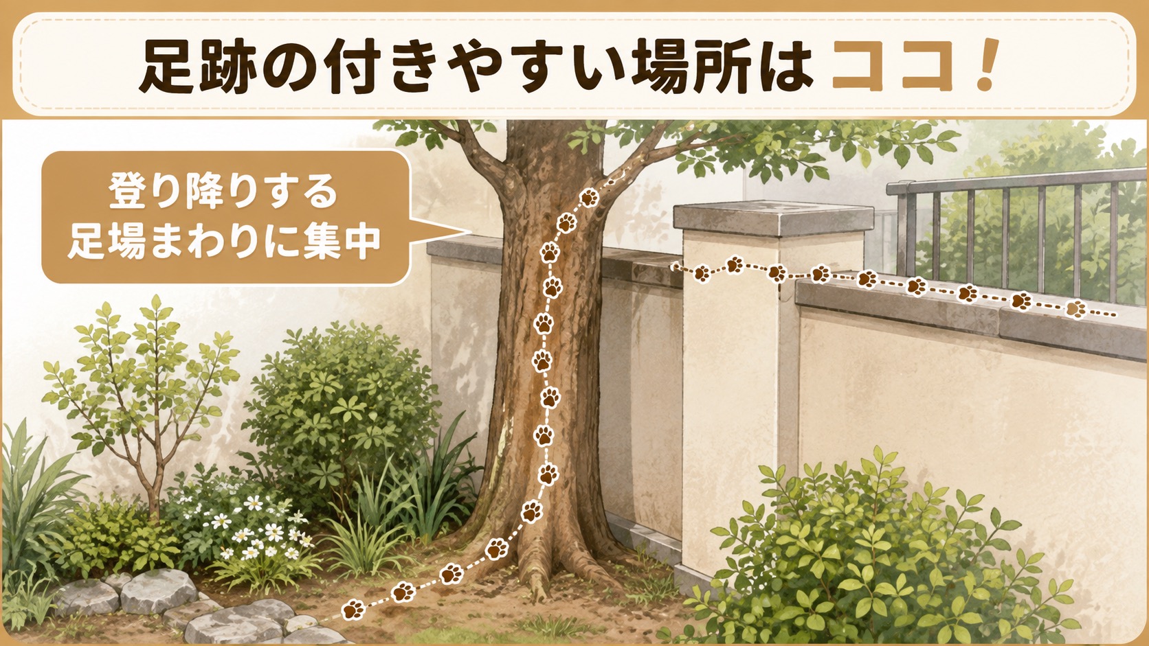 木の幹や塀を登り降りする足場まわりに足跡が集中する様子を示す図解