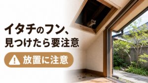 屋根裏や庭先でイタチのフンを見つけたときの注意点